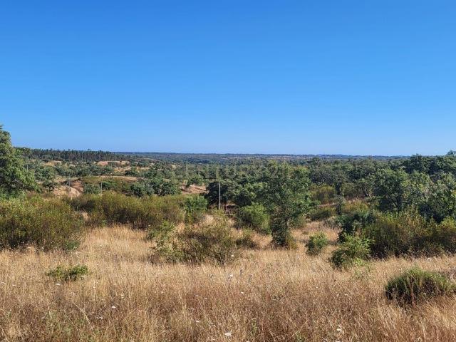 Monte Alentejano viabilidade 6.000m2 p/ HOTEL RURAL ou 429m2 de HABITAÇÃO