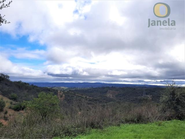 Monte Alentejo para recuperação