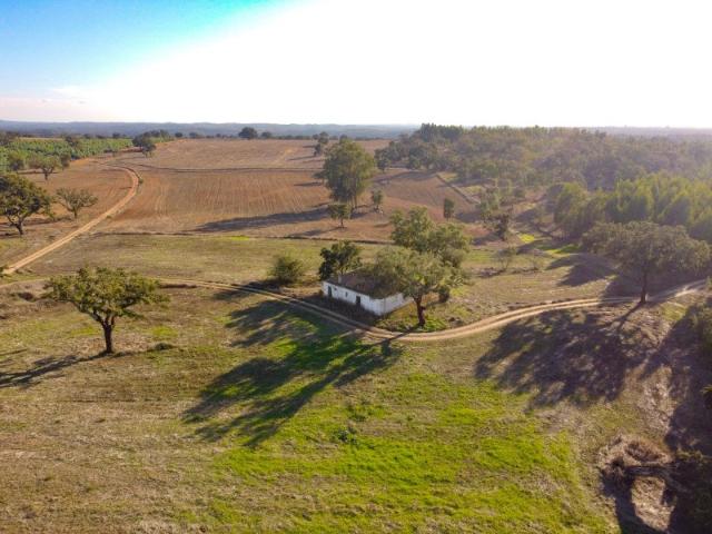 Monte com Ruína