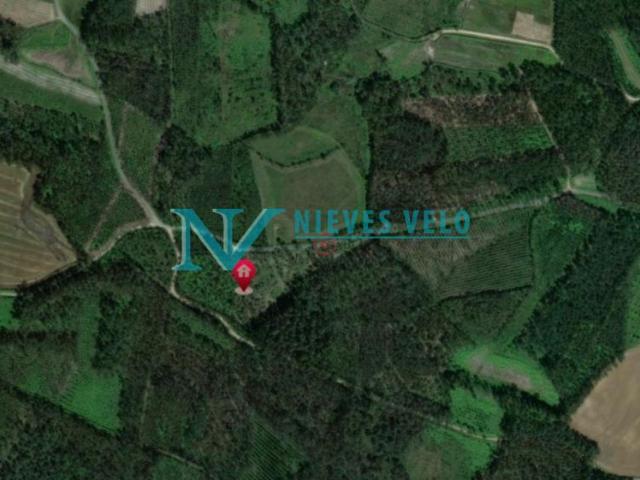 Monte de 11.000m2 zona Pedra da Arca,Cerqueda