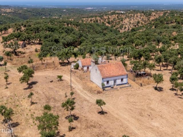 Monte, em Melides, com 18 hectares e trs habitaes