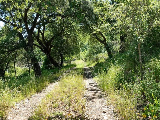 Monte na serena Serra d'Ossa com 11ha e 3 casas rústicas