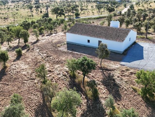 Monte para venda nos Mosqueirões