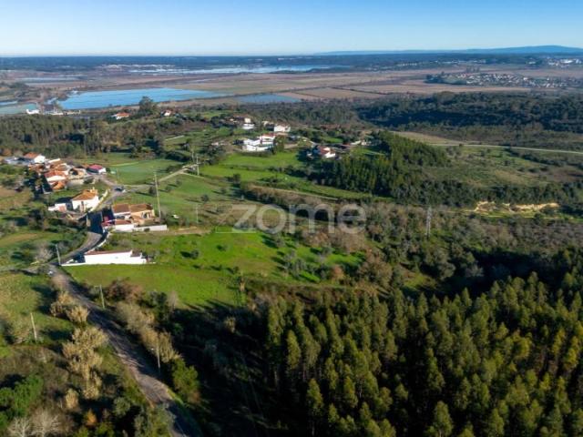 Montemor Montemor 101704683