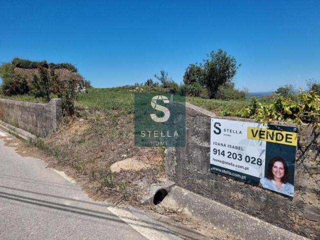 Montemor Montemor 101777934