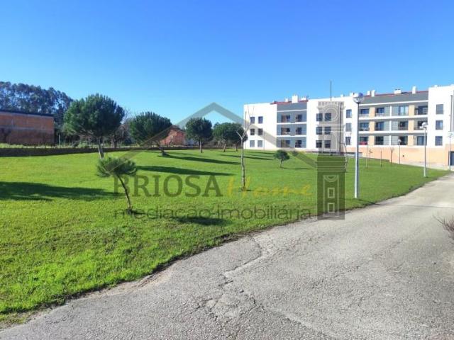 Montemor Montemor 102894383