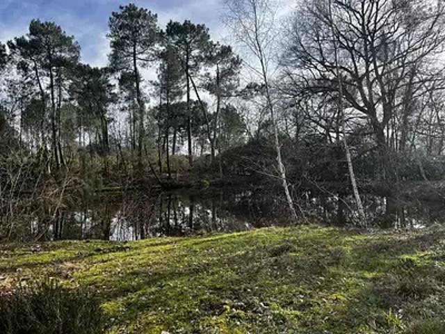 Montendre 17130 Achat / Vente terrain