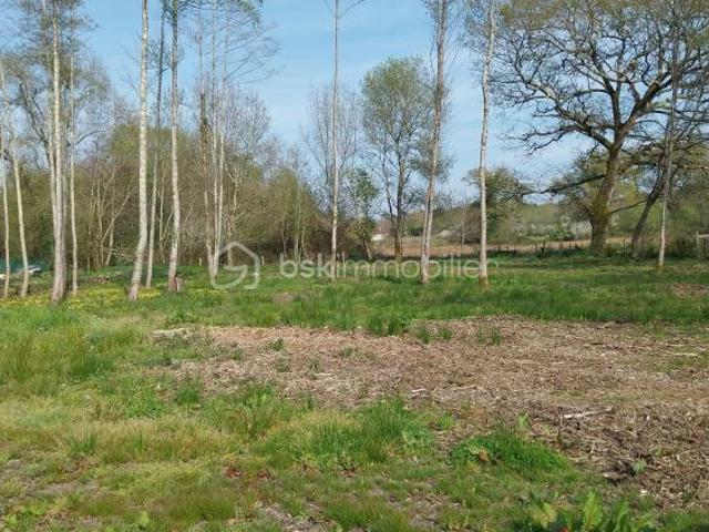 Montendre Vente Terrain 17