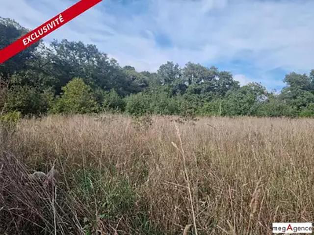Monteneuf 56380 Achat / Vente terrain