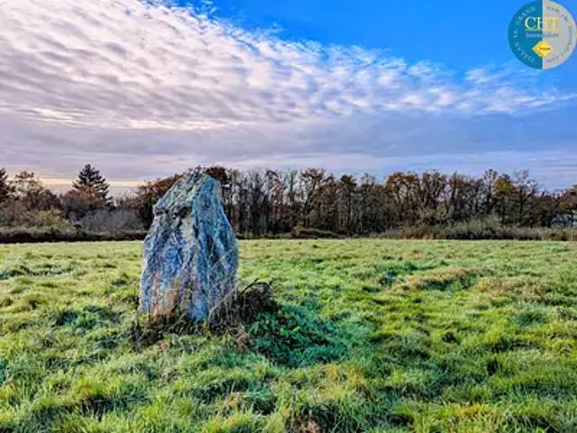Monteneuf 56380 Achat / Vente terrain