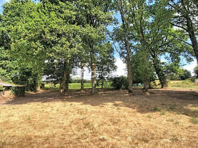 Monteneuf Vente Terrain 56