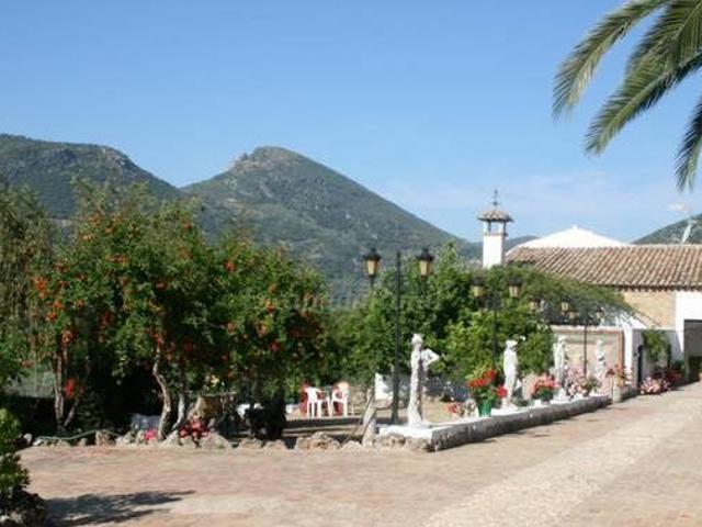 Montecillobajo