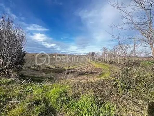 Montels 34310 Achat / Vente terrain