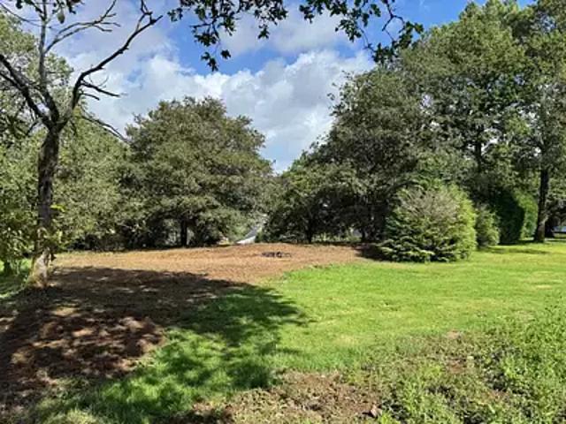 Monterblanc 56250 Achat / Vente terrain