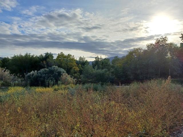 Montesquieu des Albères Vente Terrain 66