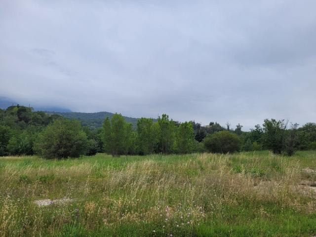 Montesquieu des Albères Vente Terrain 66