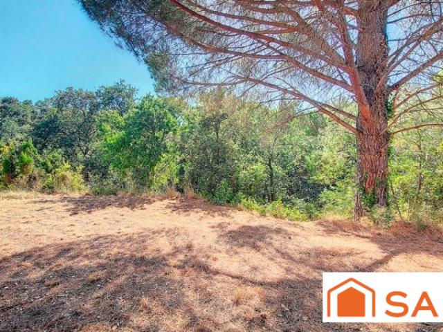 Montesquieu des Albères Vente Terrain 66