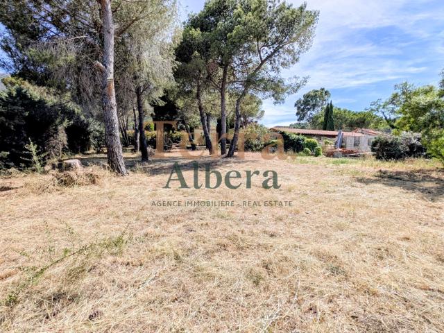 MONTESQUIEU LES ALBERES TERRAIN 600M2 HORS LOTISSEMENT SANS VIS A VIS