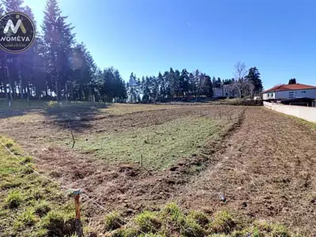Montfaucon en Velay 43290 Achat / Vente terrain