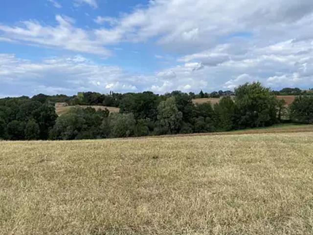 Montfa 81210 Programme neuf terrain neuf à vendre