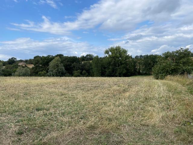 Montfa Vente Terrain 81