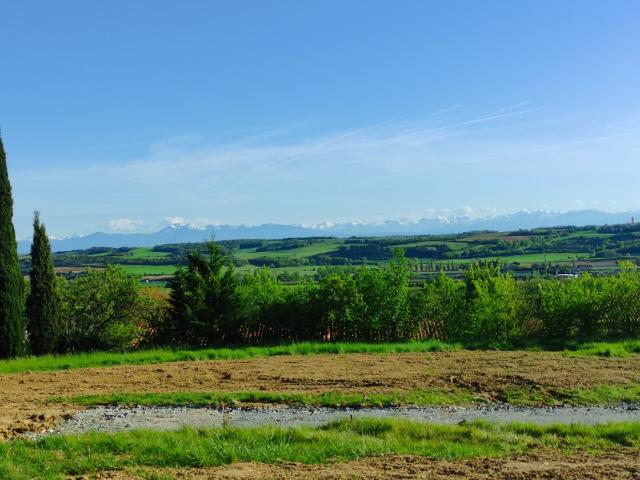 Montferrand Vente Terrain 11