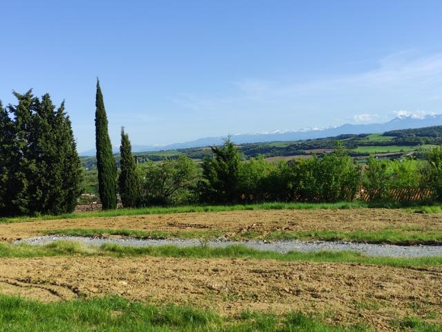 Montferrand Vente Terrain 11