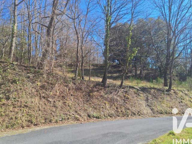 Montferrer Vente Terrain 66