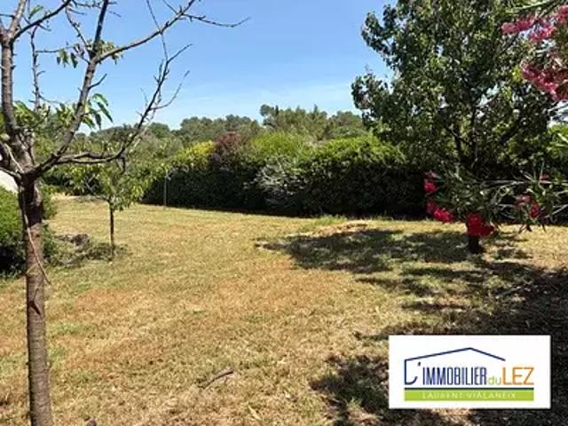Montferrier sur Lez 34980 Achat / Vente terrain