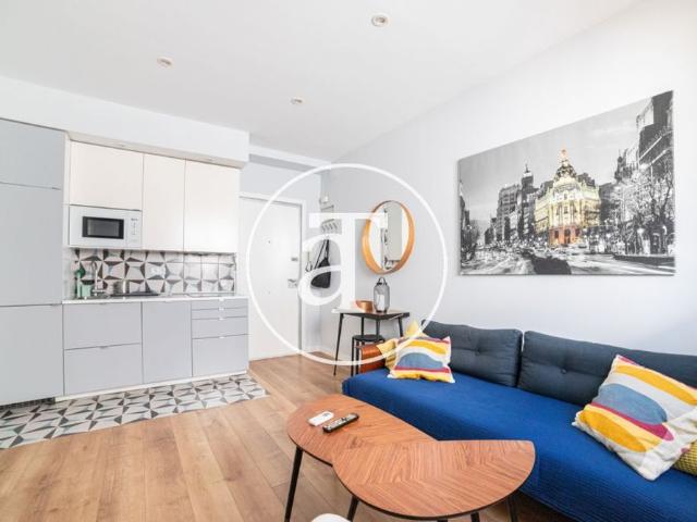 Monthly rental apartment with 1 bedroom in Malasaña neighborhood