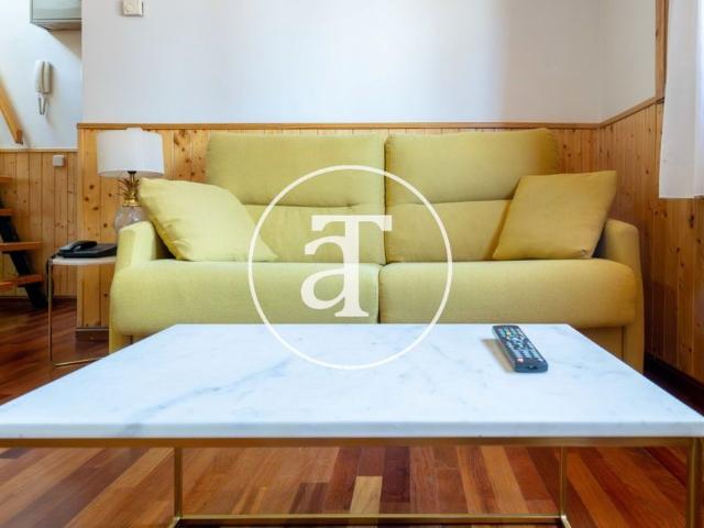 Monthly rental Penthouse with 1 bedroom and 1 bathroom with large terrace near Opera House