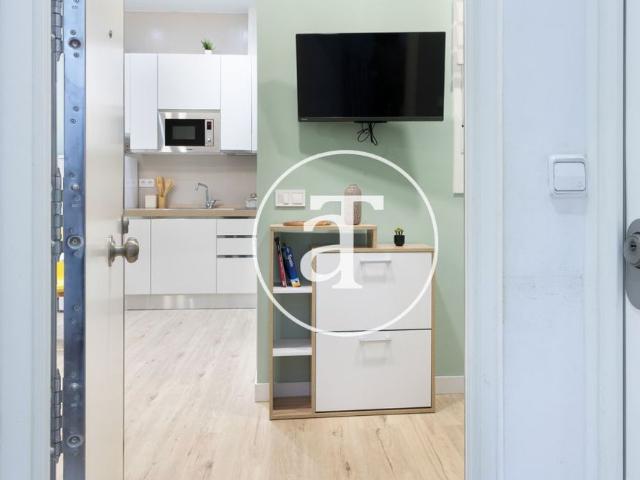 Monthly rental studio in the centre of Madrid