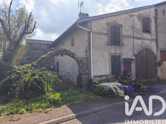 Monthureux sur Saône Vente Maison 88