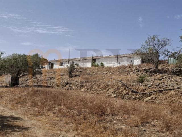 Montinho Alentejano, Mértola