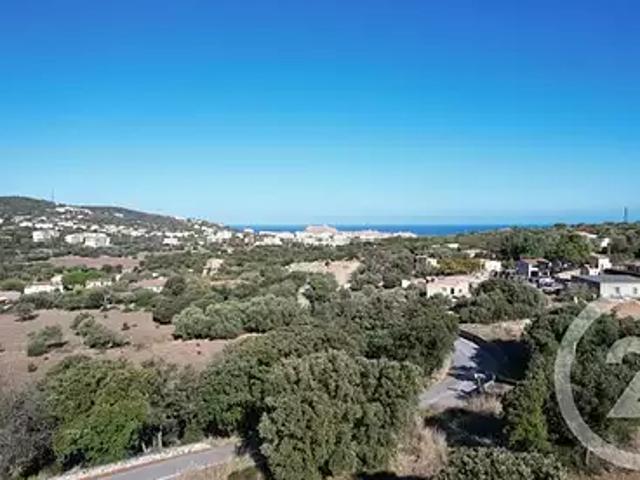 Monticello 20220 Achat / Vente terrain