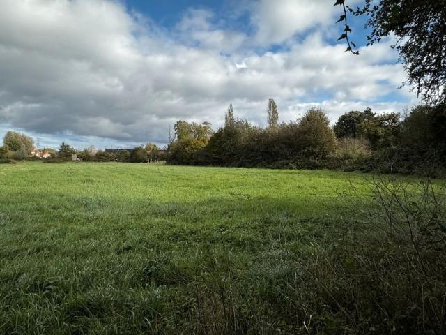 Montigny en Gohelle Vente Terrain 62