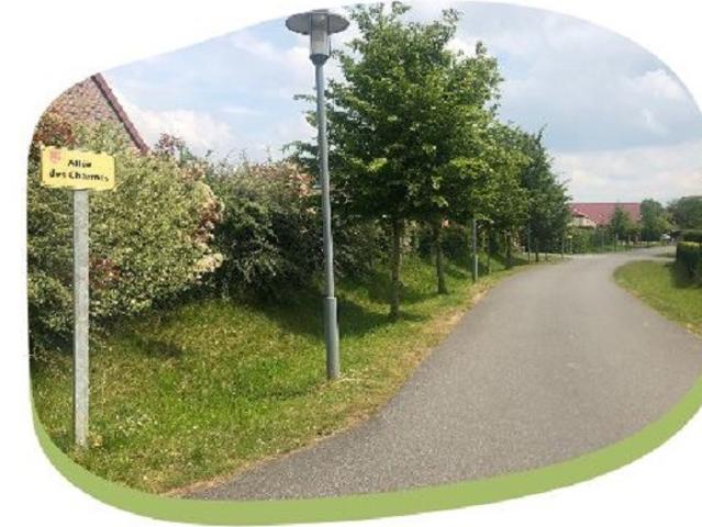 Montigny en Ostrevent Vente Terrain 59