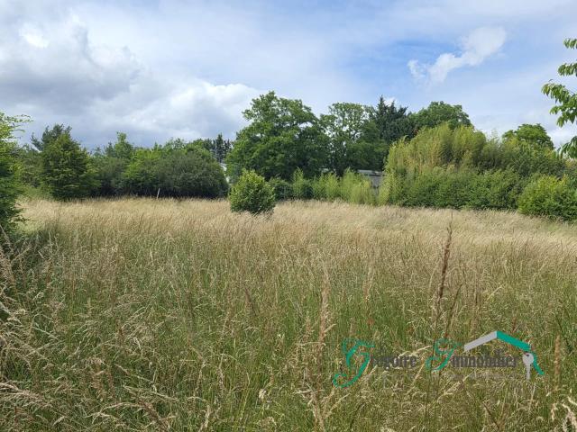 Montigny sur Loing: Terrain à bâtir de 1314 m2