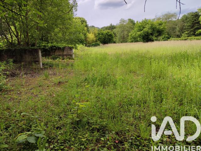 Montigny sur Loing Vente Terrain 77