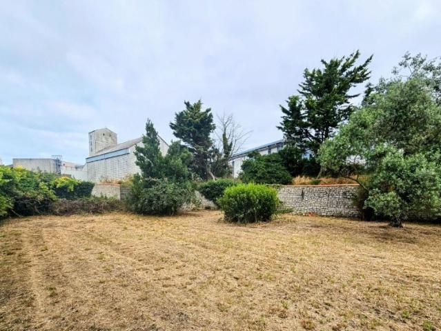 Montigny sur Loing Vente Terrain 77
