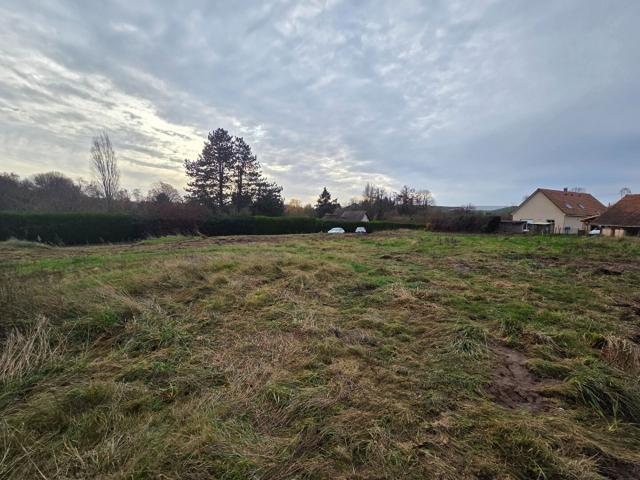 Montigny sur Loing Vente Terrain 77