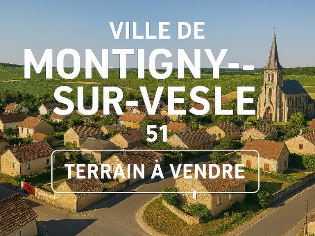 Montigny sur Vesle Vente Terrain 51