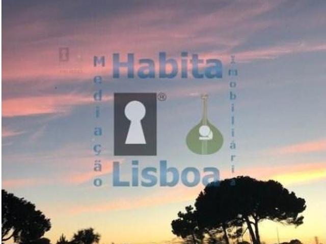Montijo Montijo 104202655