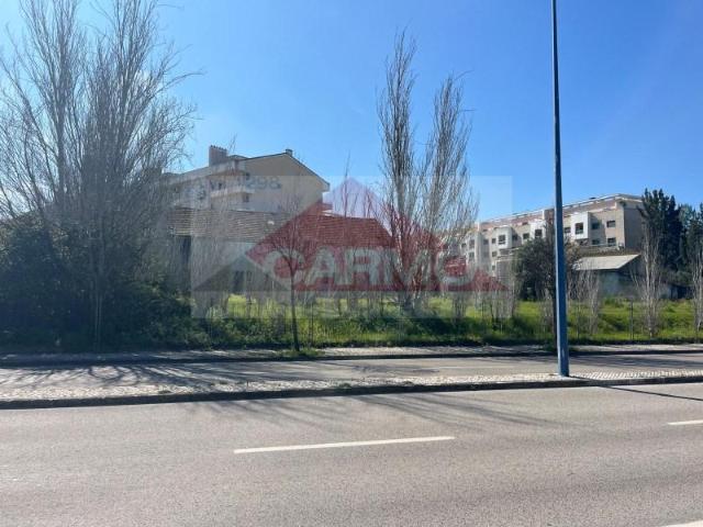 Montijo Montijo 101795494