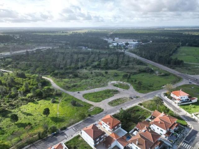 Montijo Montijo 103349989
