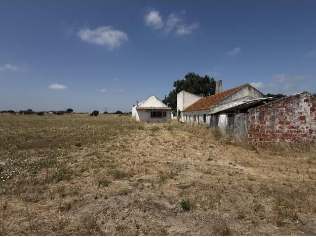 Montijo Montijo 103493367