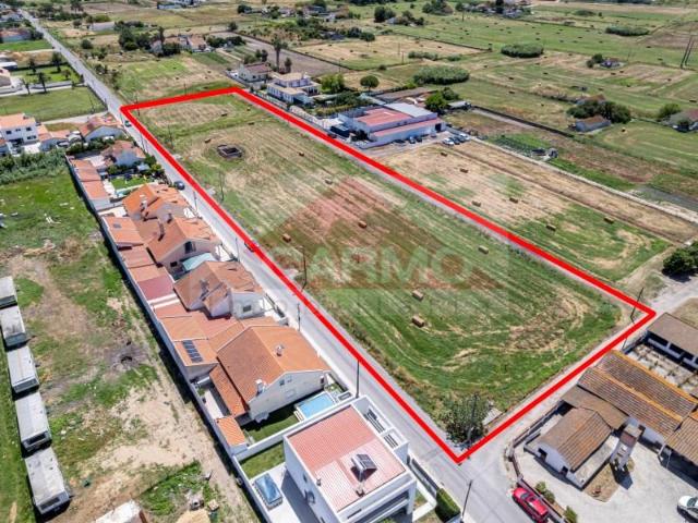 Montijo Montijo 103970469