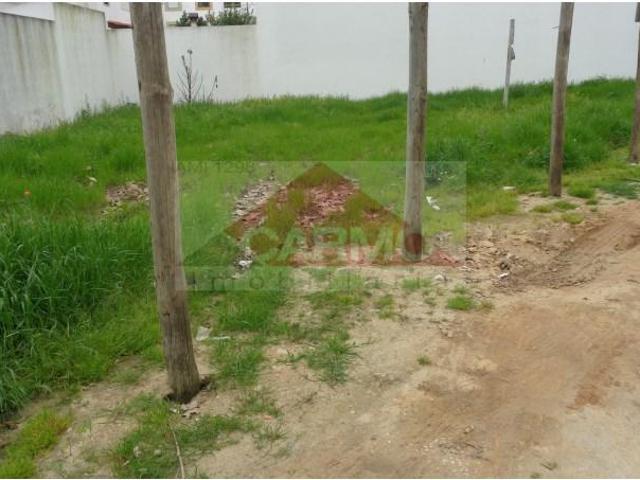 Montijo Montijo 103980479