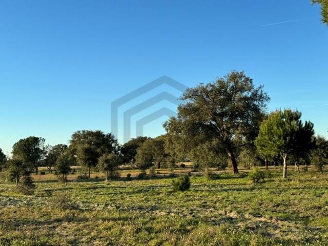 Montijo Montijo 2985 000 104378206