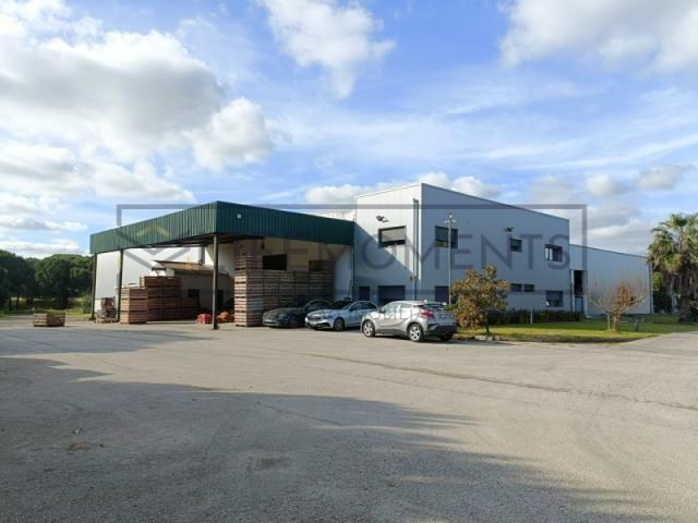 Montijo Montijo 86642820